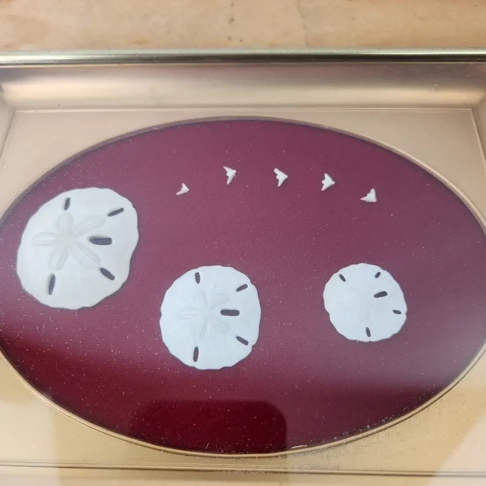 Sand Dollar & Seagull In Gold Tone Shadow box Frame Wall Decor Coastal Beach